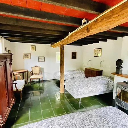 In Stramproy Near Forest *