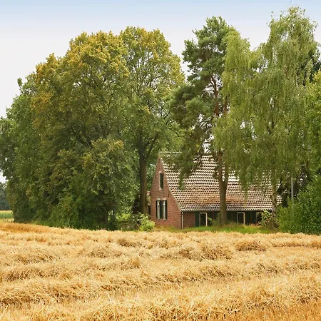 In Stramproy Near Forest *