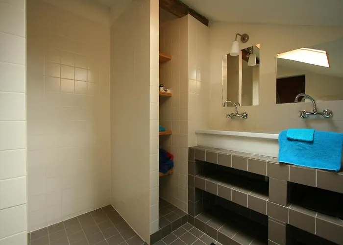 In Stramproy Near Forest