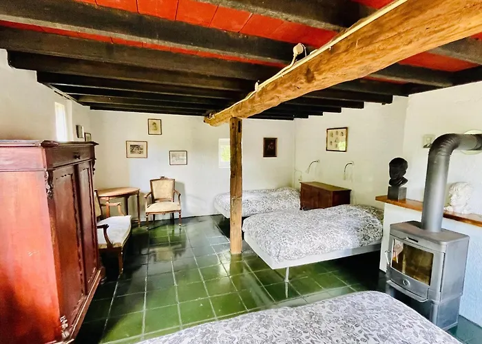 In Stramproy Near Forest *