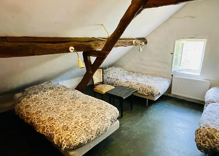 In Stramproy Near Forest