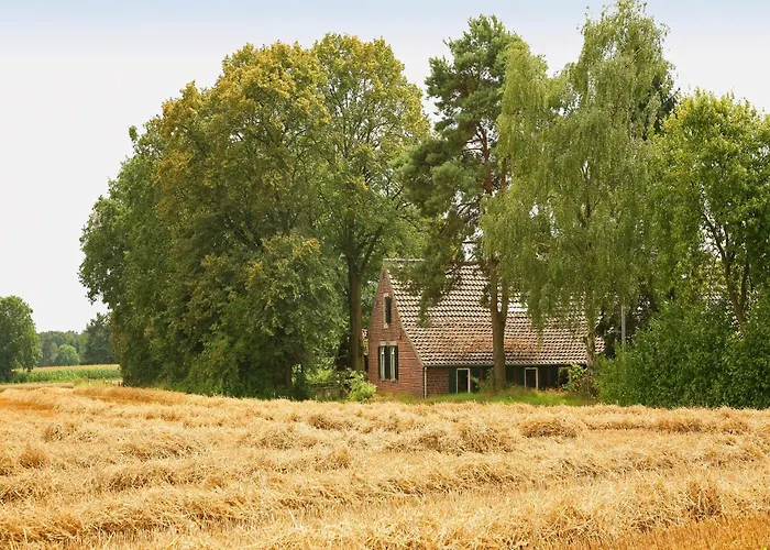 In Stramproy Near Forest *