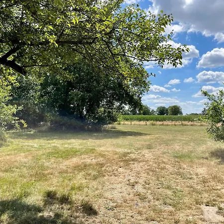 Дом отдыха In Stramproy Near Forest